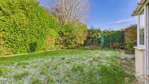 Photo 14- click for photo gallery